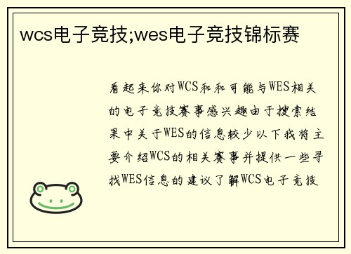 wcs电子竞技;wes电子竞技锦标赛